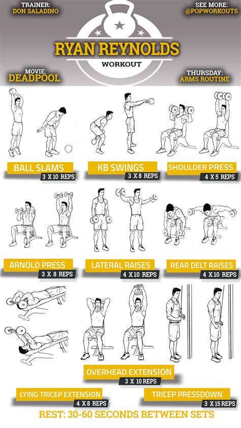 Biceps Workout Pdf Blog Dandk