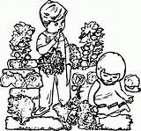 Coloring Garden Children Drawing Gardening Pages Popular Coloringhome sketch template