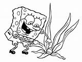 Coloring Sponge Bob Spongebob Child sketch template