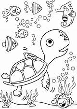 Turtle Verbnow Swimming sketch template