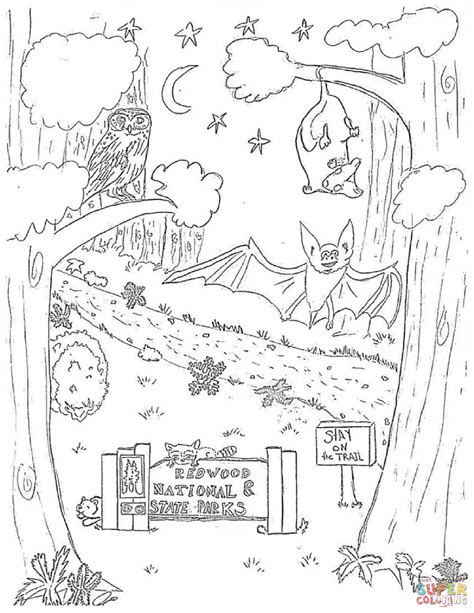 coloring pages nocturnal animals