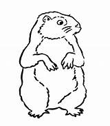 Coloring Groundhog Pages Kids Clipart Printable Animals Cliparts Library Clip Easy Cold Event Popular Favorites Add sketch template