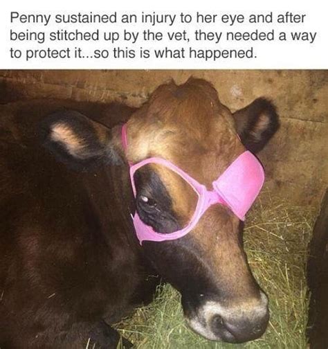 Penny Sustained An Injury To Her Eye And After Being Stitched Up By The