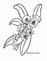 Laurel Mountain Coloring Pages Flower Drawing Sheets Printable Tattoo Getdrawings Lego Heart Spring Paintingvalley sketch template
