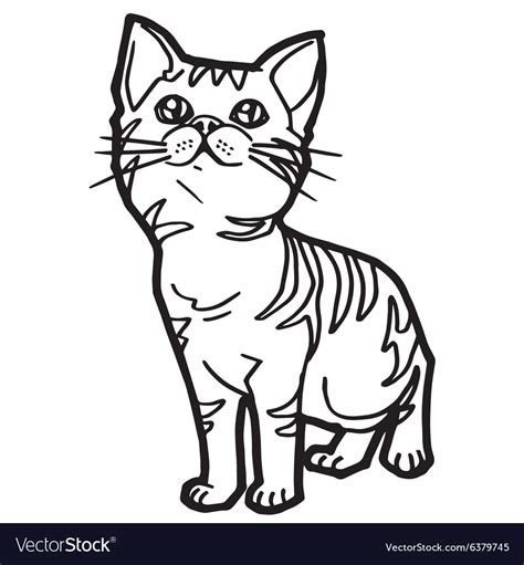 cartoon cat coloring page royalty  vector image