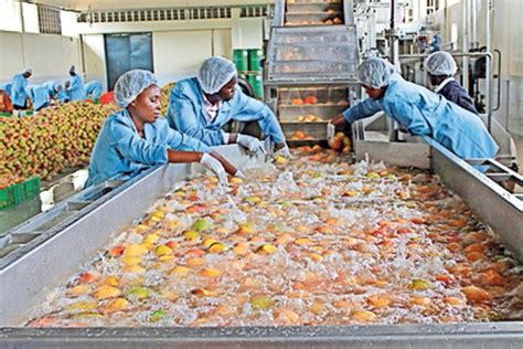 setting  fruit processing plant nation
