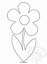 Stem Flower Template Coloring Flowers 79kb Drawings sketch template