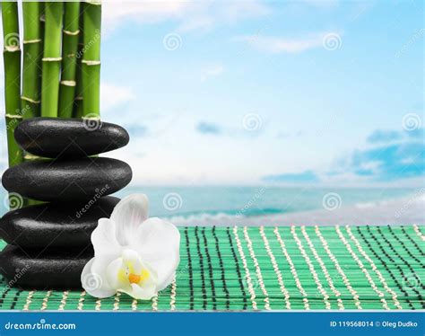 bamboo stock photo image  flower stone single treatment
