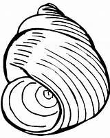Seashell Coquillage Colorier Coloriages Snail Popular Colornimbus sketch template