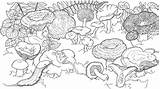 Slug Mushrooms Banana Coloring Pages Para Colorear sketch template