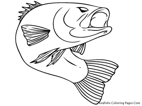 freshwater animals coloring pages  open coloring pages