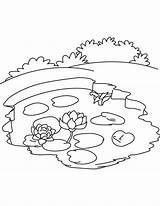 Pond Coloring Pages Ecosystem Lake Water Lily Drawing Printable Cycle Animals Ocean Frog Kids Color Carbon Sheet Getdrawings Getcolorings Popular sketch template