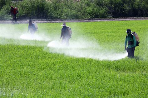 strong actions  phase  highly hazardous pesticides pesticide action network asia