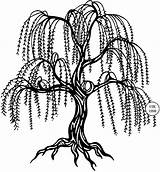 Willow Tree Weeping Coloring Clipart Drawing Pages Clip Saule Silhouette Vector Tattoo Trees Pleureur Cliparts Simple Judikins Arbre Search Dessin sketch template