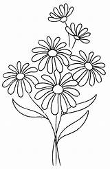 Coloring Flower Pages Daisy Pretty Rocks sketch template