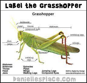 diagram   grasshopper  label drivenheisenberg