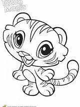 Leapfrog Coloriage Tigre sketch template