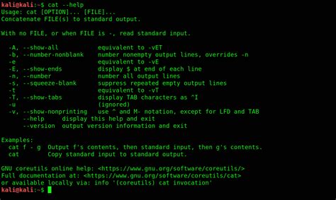 The 22 Most Basic Commands Of Kali Linux