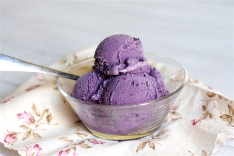 blueberry ice cream ice cream photo  fanpop