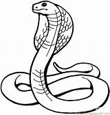 Cobra King Snake Coloring Printable Pages Color Online Reptile Coloriage Kids sketch template