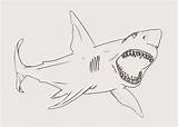 Shark Coloring Bull Pages Kids sketch template