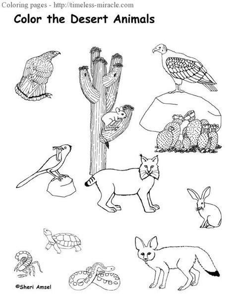desert animals coloring pages timeless miraclecom