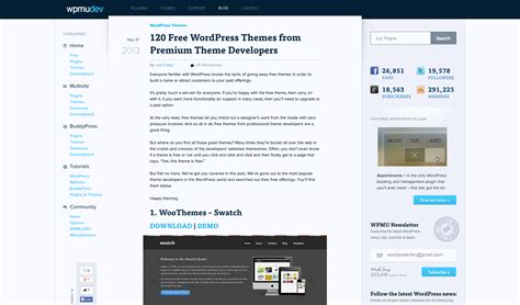 wordpress themes  ultimate guide wpmu dev