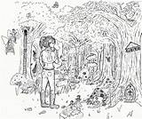 Forest Enchanted Drawing Getdrawings sketch template