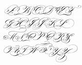 Calligraphy Alphabet Flourish Copperplate Flourished Script Lettering Letters Hand Tattoo Alphabets Browse Pc Really Below Printable Looking Type Which Print sketch template