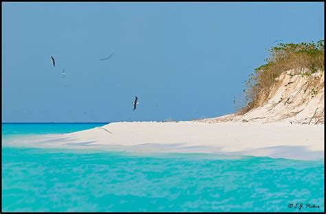 sand islands sand island midway atoll