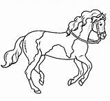 Caballo Cavalo Colorear Cavallo Cheval Cavall Desenho Caballos Manchas Disegno Dibuix Stampare Granja Animali sketch template