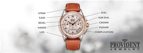 learn  basic anatomy   wristwatch common  features