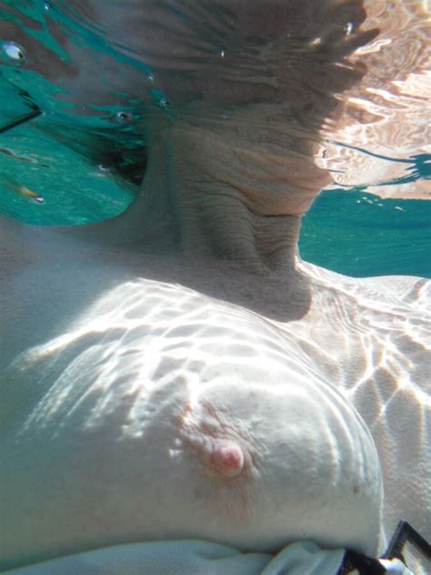 mature milfs underwater sex photo