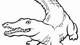 Crocodile Sandile Getdrawings Croc sketch template
