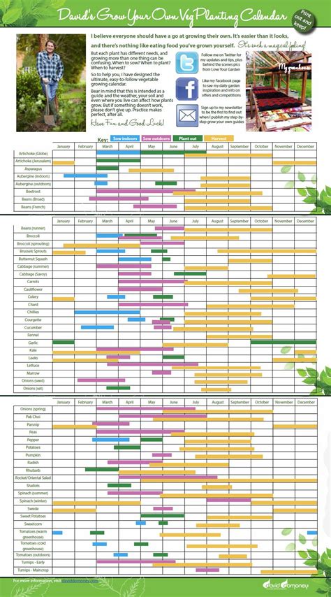 allotment planting calendar calendar  planning
