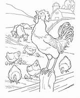 Animais Fazenda Rooster Chicken Galo Hen Barnyard sketch template