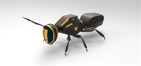 drone wasps   picture  drone