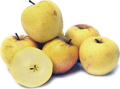 philo gold apples information recipes  facts