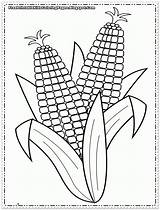 Corn Coloring Printable Pages Kids Popular sketch template