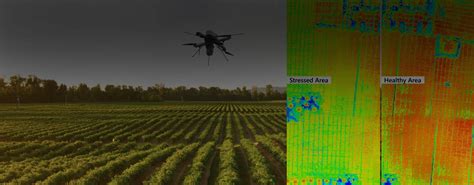 ai powered drones  precision agriculture