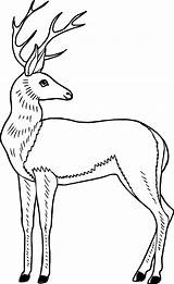 Antelope Deer Wecoloringpage Hertjes sketch template