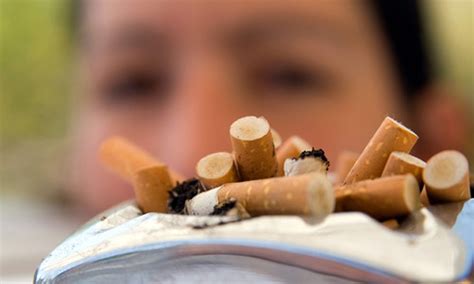 studie rauchen macht nur kosten diepressecom