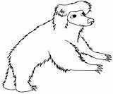 Sloth sketch template