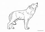 Wolf Arctic sketch template