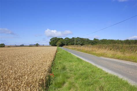 small country road stock photo image  yorkshire landscape
