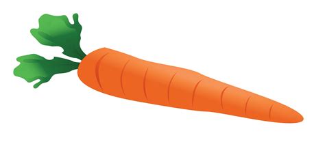 carrot clipart single vegetable pencil   color carrot png clipartix