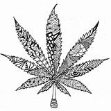 Leaf Marijuana Pot Sketch Drawing Weed Doodle Outline Cannabis Bud Getdrawings Paintingvalley Sketches sketch template
