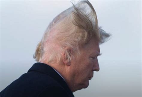 stop mocking trumps hair extra newsfeed