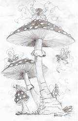 Mushroom Dragon Fairy Drawing Drawings Coloring Deviantart Arts Faeries Fantasy Evil Adult Pages Mushrooms Colouring Sketch Pencil Cool House Fairytale sketch template