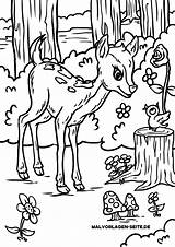 Reh Malvorlage Tiere Ausmalbilder Dyr Skogen Hjort Barn Ut sketch template